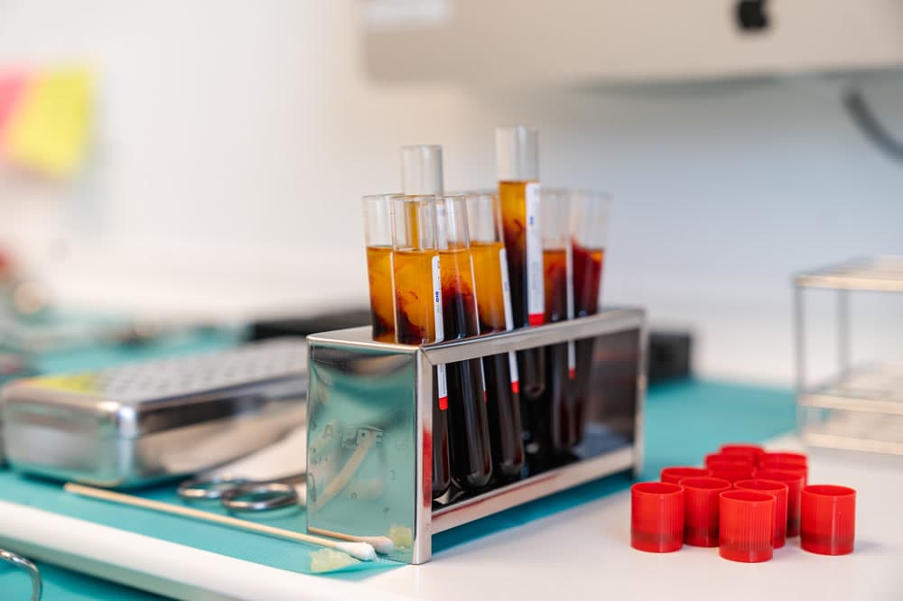 Three Certifications