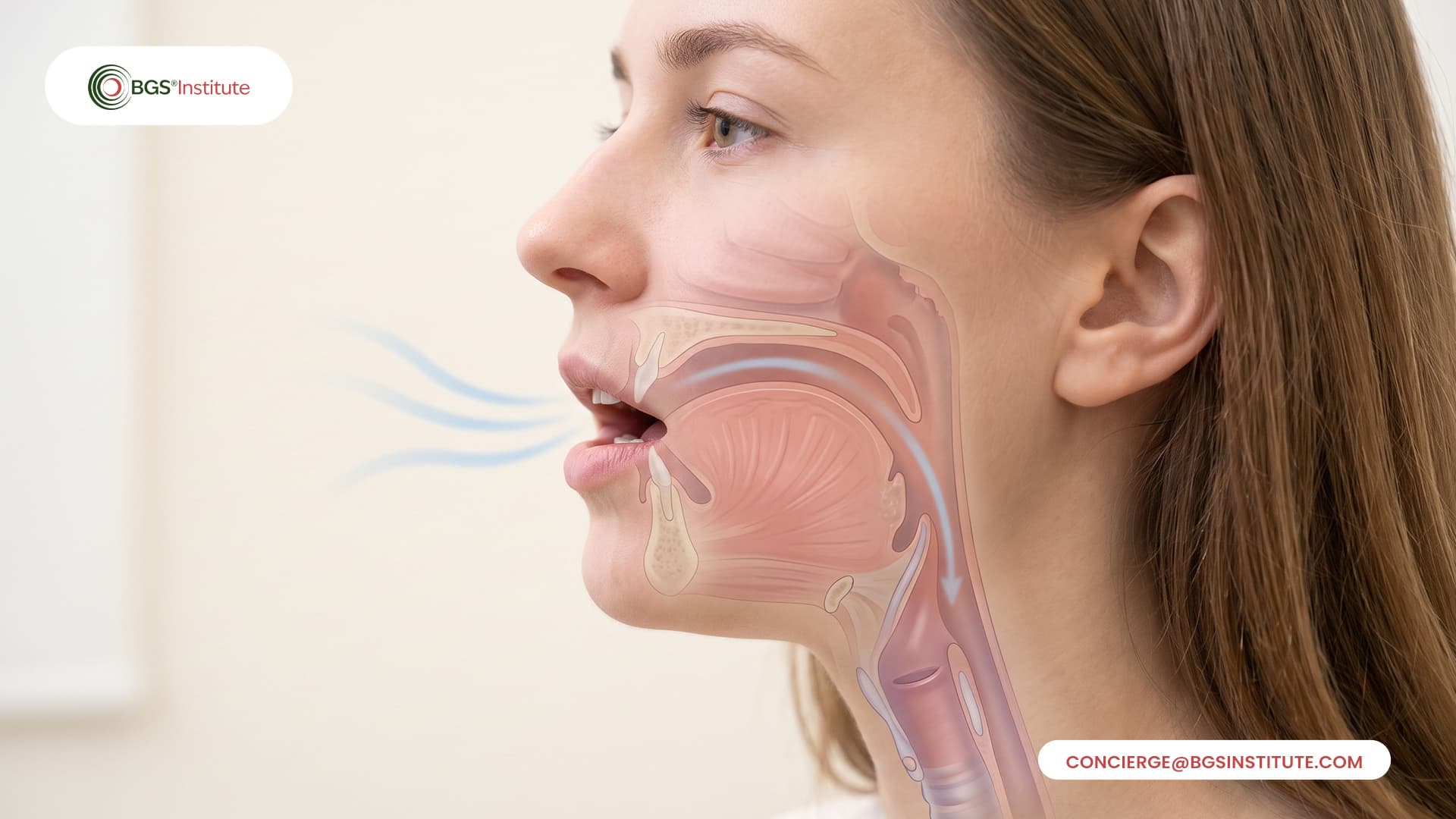 Side-profile illustration showing mouth breathing airflow through the oral cavity and throat